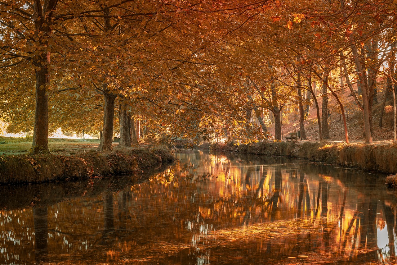 Dashboard de analítica web